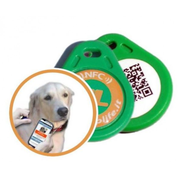 PET 1