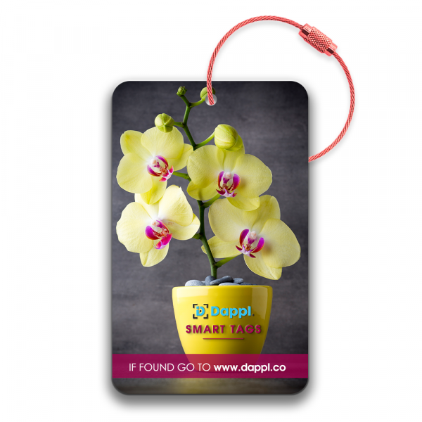Travel tag D13